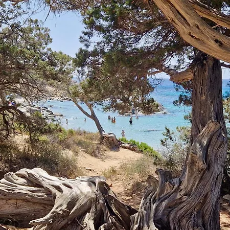 Villa Emma Vista Mare Porto Sa Ruxi Villasimius