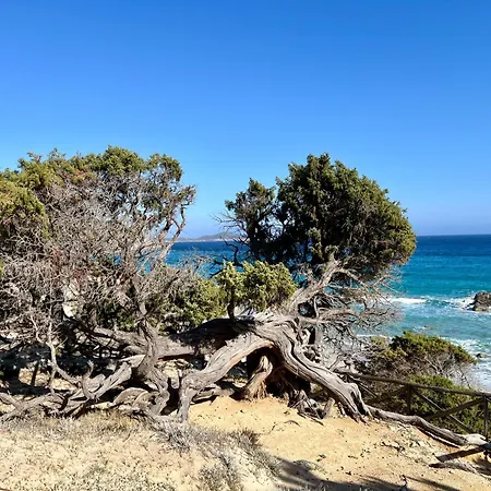 Villa Emma Vista Mare Porto Sa Ruxi