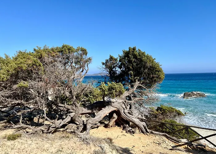 Вілла Emma Vista Mare Porto Sa Ruxi